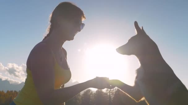 Close Lens Flare Момент Танення Серця Між Милим Собакою Його — стокове відео