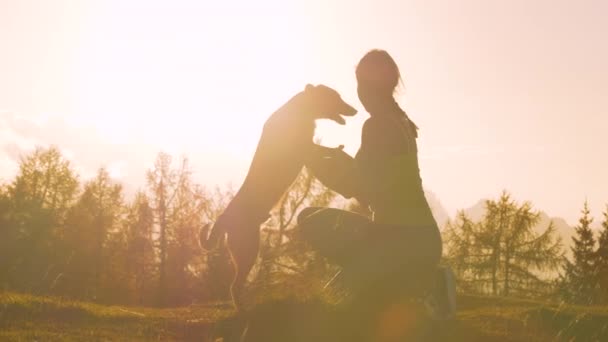 Silhouette Lens Flare Loving Owner Embracing Her Dog Mountaintop Sunset — Stock Video
