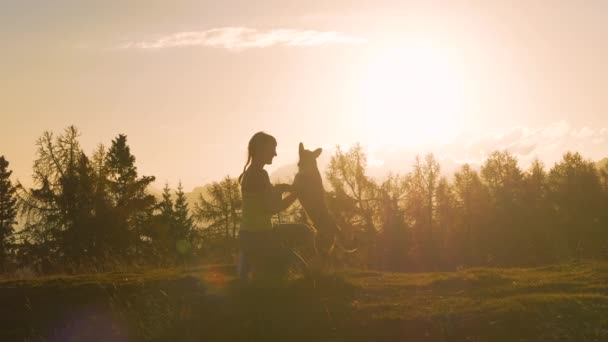 Silhouette Lens Flare Adorable Momento Entre Perro Feliz Amante Dueño — Vídeos de Stock