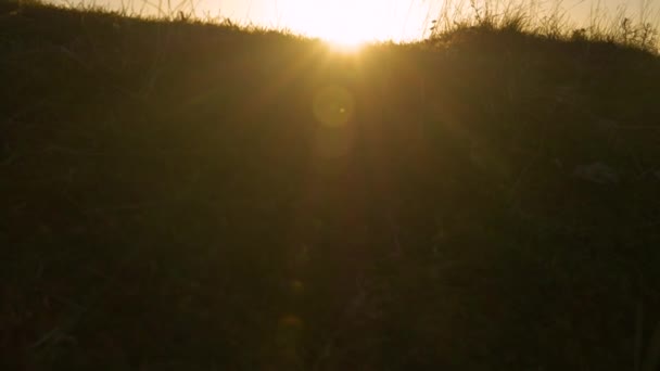 Lens Flare Lady Reaches Top Scenic Hill Running Jumps Joy — Stock Video
