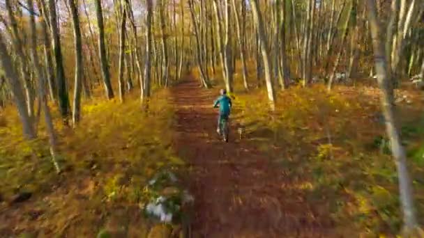 エリアル 彼女の側に犬と一緒にいる女性は 美しい秋の森をサイクリングしています 彼女は秋の季節に鮮やかな色の木の葉の間で彼女の電動バイクで速くレースしています 野生の自然の中で素晴らしい景色 — ストック動画