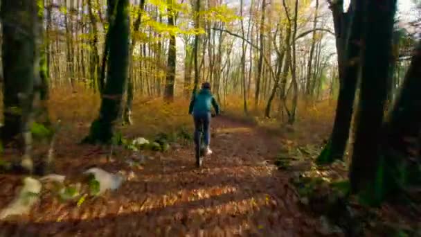 Aerial Colorido Bosque Otoñal Bicicleta Montaña Con Perro Lado Ella — Vídeos de Stock