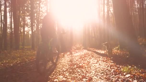 Güz Ormanlarında Günbatımı Köpek Ile Bisiklet Süren Bir Bayan Gülüşmeler — Stok video