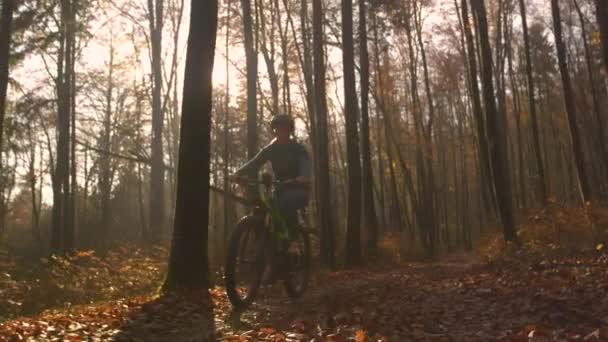 Slow Motion Lens Flare Lady Riding Bike Autumn Forest Golden — Stock Video