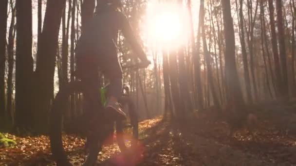 Bisikletli Altın Sonbahar Işığı Altında Yaprak Kaplı Orman Yolunda Gidiyor — Stok video