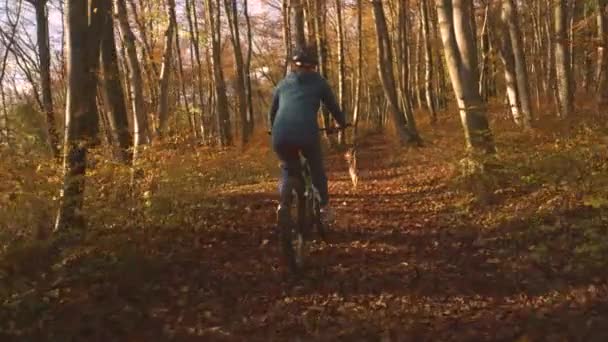Jovencita Paseando Por Bosque Otoño Bicicleta Eléctrica Con Perro Lado — Vídeos de Stock