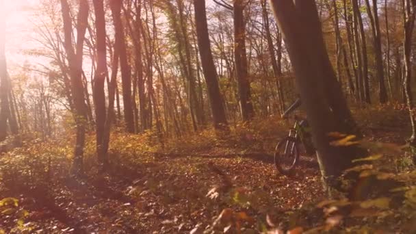 Slow Motion Lens Flare Dog Running Lady Biking Autumn Coloured — Stock Video