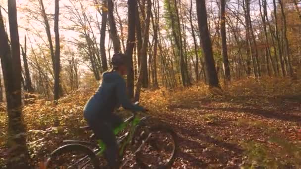 Sonbahar Ormanında Yanında Köpekle Elektrikli Bisiklete Binen Bir Kadın Güneşli — Stok video