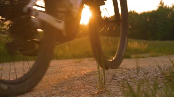 Cerrar Lentes Flare Bicicleta Femenina Camino Grava Con Perro Corriendo — Vídeo de stock