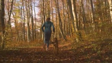 Genç kadın, neşeli köpeğiyle birlikte sonbahar ormanında koşuyor. Güneşli bir sonbahar gününde, altın parıldayan ormanın kucağında yapraklarla kaplı bir patika boyunca koşuyorlar..