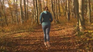 Sportif kadın ve neşeli köpeği sonbahar ormanlarında birlikte koşuyorlar. Güneşli bir sonbahar gününde, altın parlayan ormanlık alanda yapraklarla kaplı bir patika boyunca koşuyorlardı..