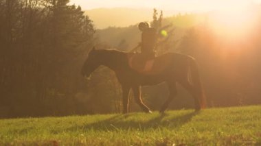 Kahverengi bir ata binen bir bayanla güzel bir sonbahar gün batımı. Dişi binici, yemyeşil bir çayırda, yemyeşil ormanlarla çevrili bir şekilde ata biniyor. Doğa altın akşam güneşi altında parlar..