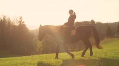 Güneş doğarken yeşil bir çayırda at süren bir kadın var. (Kahkahalar) Güzel sonbahar doğası, muhteşem kahverengi aygırını kırsalda sürerken altın sabah güneşi altında parlar.