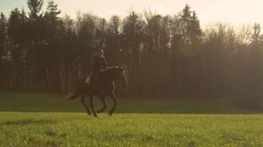 Gülümseyen bayan yeşil çayırda güzel aygırıyla dörtnala koşuyor. Güzel sonbahar kırsalları altın sabah güneşi altında parlarken neşeli bir dişi binici kahverengi atının üzerinde homurdanıyor..