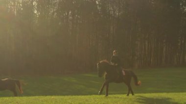 Kadın, kahverengi kısrakla çayırda dört nala koşan bir aygır. Güzel sonbahar kırsalları altın sabah güneşi altında parlarken neşeli bir dişi binici kahverengi atının üzerinde homurdanıyor..