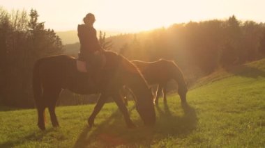 Altın güneş ışınları, akşam yürüyüşü sırasında otlayan kahverengi atları aydınlatır. Genç bir kadın atlarını gün batımı yürüyüşüne çıkardı. Güzel kırsal alanda yürüdü. Sonbahar güneşinin son ışınlarıyla yıkandı..