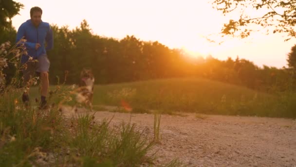 Lens Flare Young Man Running Dog Country Road Golden Sunlight — Stock Video