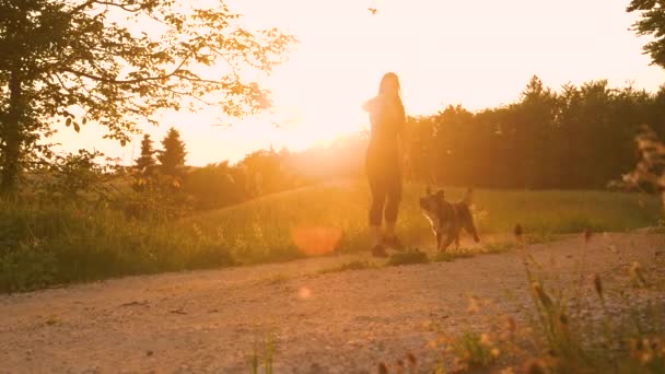 弗拉尔 快乐的狗的主人把一根木棍扔到她的爱玩的狗身上去拿 年轻的女士正在和她的毛茸茸的朋友一起在美丽的乡间散步 在秋天的夕阳西下闪闪发光 — 图库视频影像