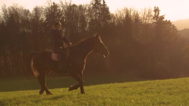 慢慢地 弗勒快乐的女士在一个阳光明媚的秋日享受骑马的乐趣 早上黄金时段 她带着两匹棕色的马和一只混血的狗沿着令人叹为观止的乡间小径奔跑 — 图库视频影像