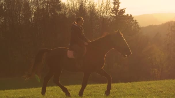 緑の牧場を横切って馬に乗っている若い女性と素晴らしい秋の日の出 彼女の茶色のスタリオに女性ライダーとして黄金の朝の日光で美しい自然が輝く — ストック動画