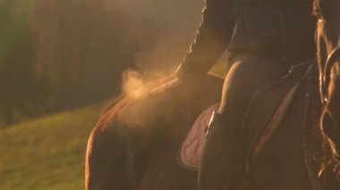 Eyerdeki bir binici, gün doğumunda bir toz bulutunun yükseldiği bir atı okşar. Altın sonbahar sabahı güneş ışığı kırsalda at bindikten sonra eyerli güzel bir atı aydınlatır..