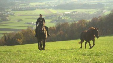 Panoramik yeşil çayır ve vadide kırsal bir köyde at süren gülümseyen genç bir kadın. Güneşli bir sonbahar gününde güzel bir kırsalda at binmeye gitti..
