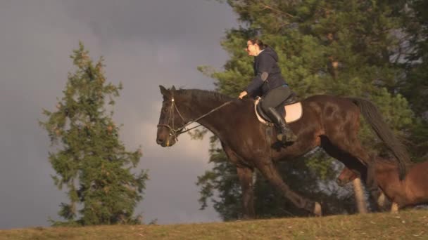 Slow Motion Lady Horseback Riding Grassy Ridge Dog Mare Side — Stock Video