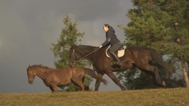 Slow Motion Vrolijke Dame Paardrijden Langs Een Groene Heuveltop Weide — Stockvideo