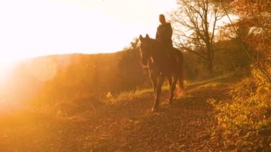 Sonbahar kırsalında at süren neşeli bir bayan. Etrafını saran güzel renkli ve huzurlu doğanın tadını çıkarırken altın gün batımı ışığında at sürüyor..