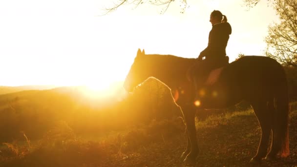 微笑的骑马者欣赏山丘上的日出 秋天寒冷的早晨 她的马在一个有利的地方停了下来 从中可以看到一股温暖的气息 — 图库视频影像