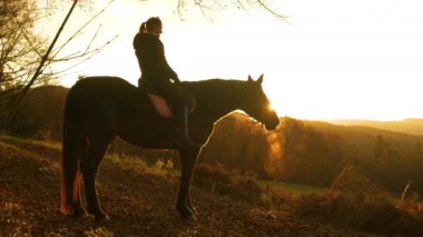 At üstünde bir kadın kırsal bölgede altın güneş doğuşunu izliyor. Serin bir sonbahar sabahında atından gelen ılık bir nefes bulutu, durdukları yerde görülebiliyor.