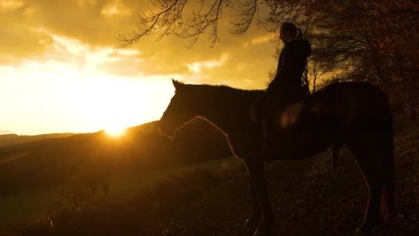 女性ライダーは丘の上に輝く太陽の最後の光を見ています 牧場の向こうで 一匹のオオカミと二匹の犬が遊んでいるところ 彼女は馬に乗って秋の夕方を楽しんでいる — ストック動画