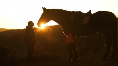Genç bayan ve atı arasında altın güneş ışınları parlıyor. Sonbahar kırsalında gün batımında at sürdükten sonra kahverengi aygırına bir öpücük verdiğinde yüz yüze gelirler.