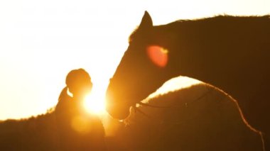 Gün batımında bir kadınla atı arasında nazik bir an. Sonbahar kırsalında at sürdükten sonra, birbirlerine dönerler ve dişi aygır yavaşça kahverengi aygırının burnunu okşar.