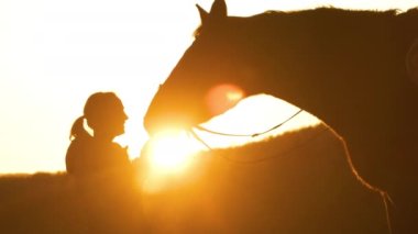 Gün doğumunda bir bayanla atı arasındaki bağ anı. Sonbahar kırsalında at sürdükten sonra, birbirlerine dönerler ve dişi aygır yavaşça kahverengi aygırının burnunu okşar.