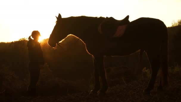 Ostatniej Jesieni Promienie Słońca Świecą Między Kobietą Jej Koniem Przejechaniu — Wideo stockowe