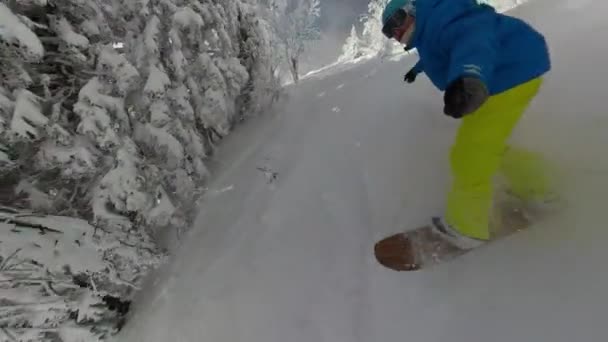 Selfie Extrem Snowboarder Fahren Mit Frischem Pulverschnee Durch Den Bergwald — Stockvideo