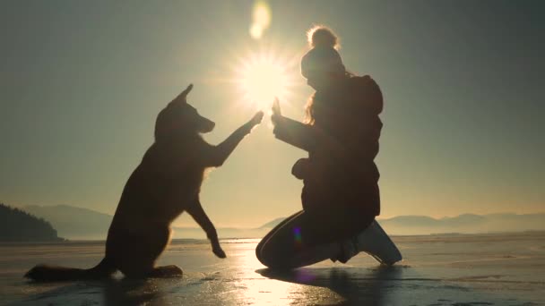 Lens Flare Silhouette Lady Haar Schattige Hond Oefenen High Five — Stockvideo