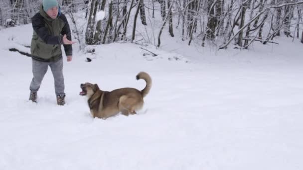 Köpek Sahibi Karlı Bir Günde Heyecanlı Genç Günüyle Oynarken Bir — Stok video