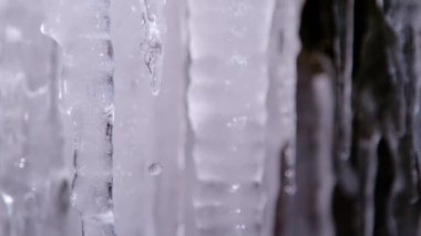 Eriyen buz saçaklarından dökülen su damlacıkları, MacRo, Süper Yavaş Hareket. Parlayan buzdan damlayan damlalar. Daha sıcak sıcaklıklar ve güneş ışığı eriyerek soğuk kış günlerinde oluşmuş buz gibi çiviler asılı kalır..