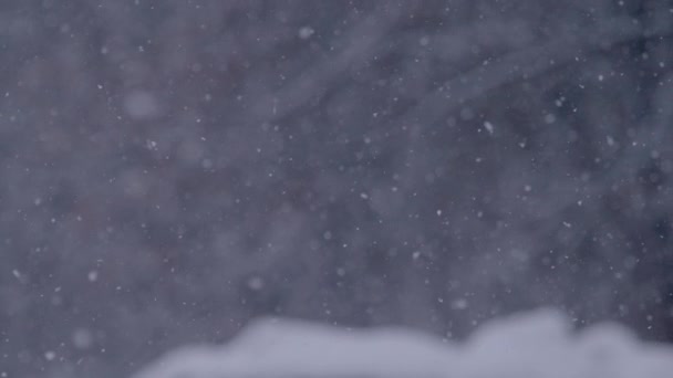 Супер Славові Моторія Close Dof Зростаючий Вигляд Повільно Падаючих Сніжинок — стокове відео