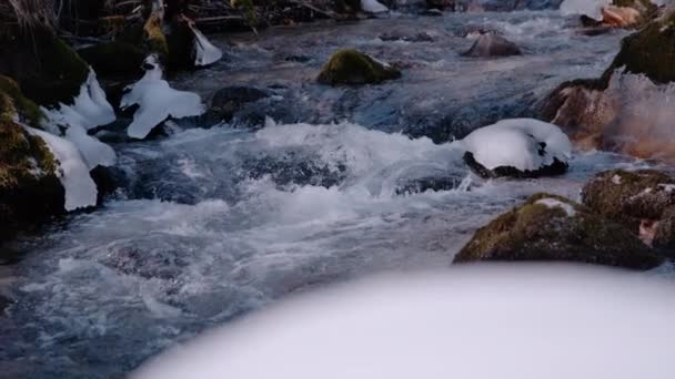 Super Slow Motion Close Wild Mountain River Flyter Mellan Snöiga — Stockvideo