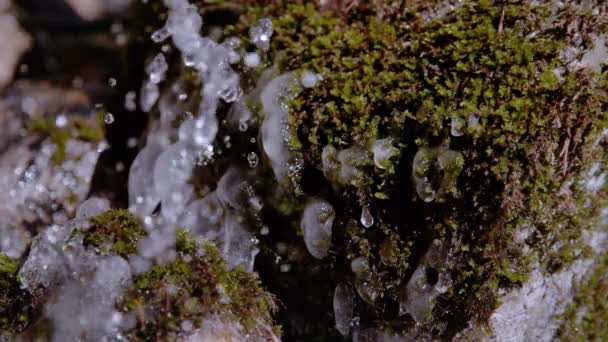 Super Slow Motion Macro Dof Gotas Agua Del Río Vuelan — Vídeos de Stock