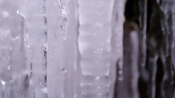超级慢速运动 Macro Dof 从融化的冰柱上落下的水滴 从闪闪发光的冰上滴下的水滴 温暖的气温和阳光融化悬挂在寒冷的冬日形成的冰雹上 — 图库视频影像