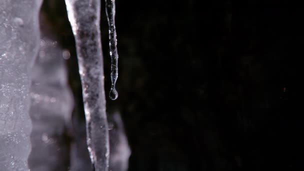 Süper Yavaş Hareket Macro Dof Koyu Arkaplandaki Bir Buz Saçağından — Stok video