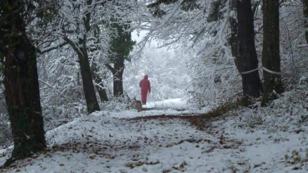Donna Abiti Invernali Rosa Passeggiate Attraverso Foresta Con Suo Cane — Video Stock