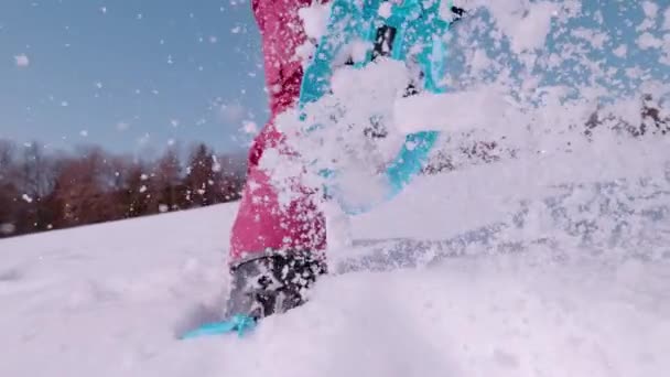 スーパースローモーター ロウアンジェルヴィー 雪の雪の牧場で走っている若い女性の背後に飛ぶ新鮮な雪 晴れた日に冬の田舎をスノーシューする認識できない女性の後 — ストック動画