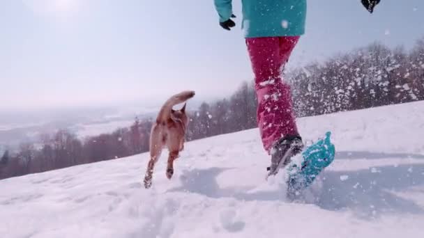 スーパーSlow Motion Close 新雪の中でスノーシューで遊び心のある犬と女性が走っています 未知の女性は彼女の茶色の犬ゴと美しい晴れた冬の日に雪の田舎でシュノーシューしています — ストック動画