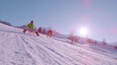 Mutlu adam, yanında heyecanlı bir köpekle kızakla kaymaktan zevk alır. Genç adam ve onun sevimli melez köpekleri kış tatillerinde karlı Alp Vadisi 'nde harika vakit geçirirler..