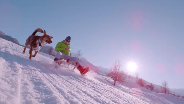 慢慢的运动 在一个阳光灿烂的冬日里 年轻人一边滑行一边笑着 当他骑着一辆木制雪橇走过时 阳光灿烂 飞扬的雪花闪烁着光芒 身旁是一只狗 — 图库视频影像